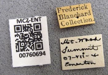 Media type: image;   Entomology 760694 Aspect: labels